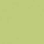 Stamskin Top - Lime Green (50618)