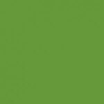 Stamskin Top - Forest Green (50620)
